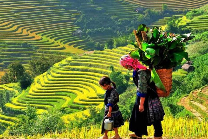 گلبرگ تور ویتنام 9 شب و 10 روز