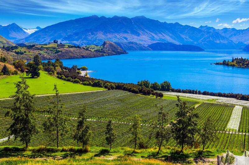 گلبرگ تور ترکیبی استرالیا و نیوزلند