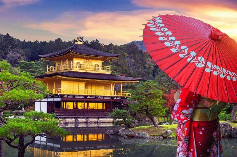 گلبرگ تور ترکیبی ژاپن و کره جنوبی