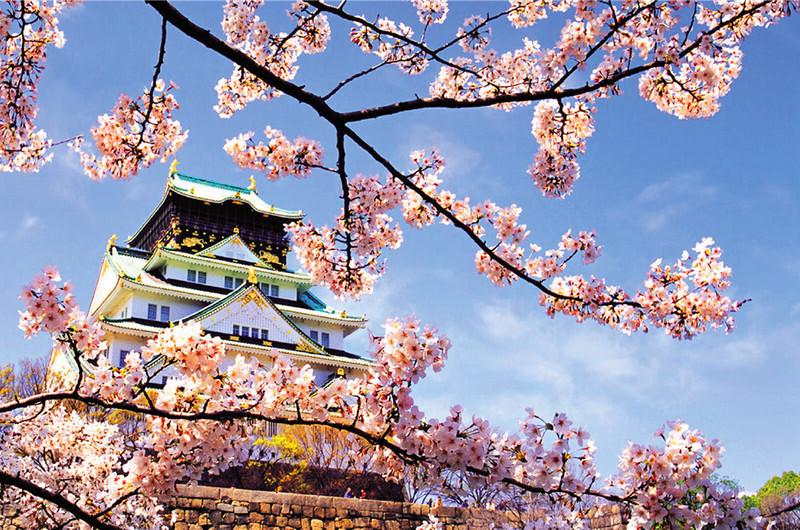 گلبرگ تور ژاپن و کره جنوبی نوروز